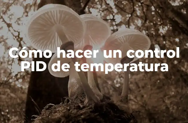 Cómo Hacer un Control Pid de Temperatura 2 Cómo hacer un control PID de temperatura