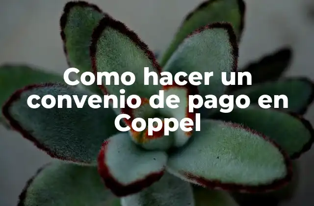 Como Hacer un Convenio de Pago en Coppel