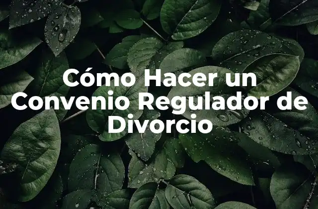 Cómo Hacer un Convenio Regulador de Divorcio