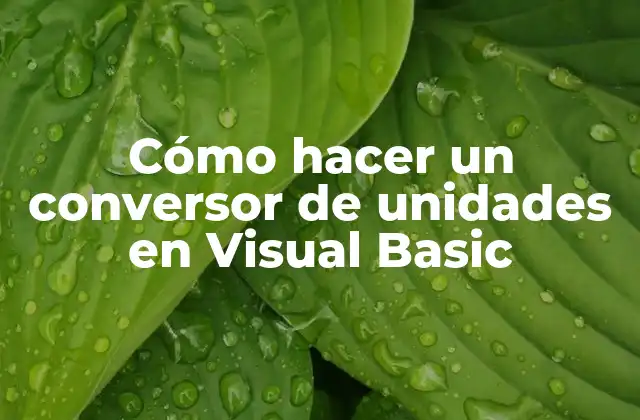 Cómo Hacer un Conversor de Unidades en Visual Basic