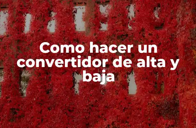 Convertidor de alta y baja