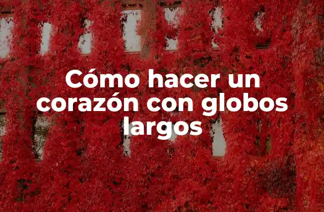 Cómo Hacer un Corazón con Globos Largos