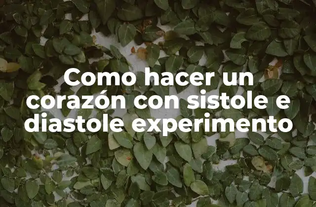 Como Hacer un Corazón con Sistole e Diastole Experimento