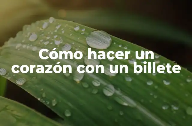 Cómo Hacer un Corazón con un Billete 2 Cómo hacer un corazón con un billete