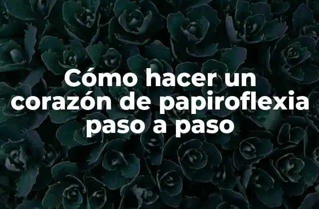 ¿Qué es la papiroflexia y cómo se utiliza?