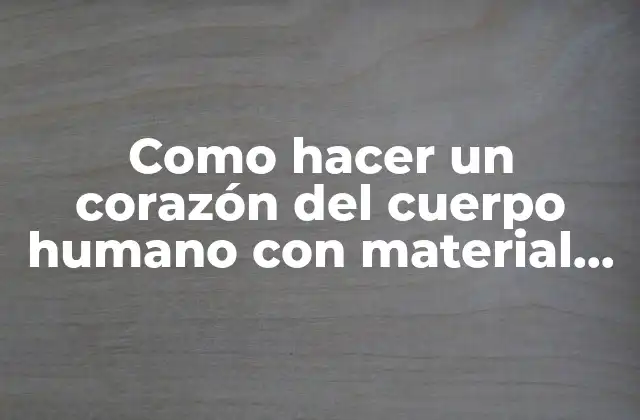 Como Hacer un Corazón Del Cuerpo Humano con Material Reciclado