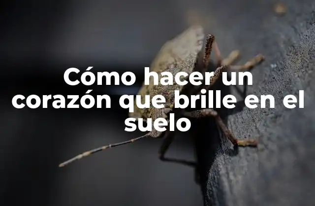 Cómo Hacer un Corazón que Brille en el Suelo