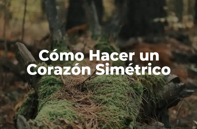Cómo Hacer un Corazón Simétrico