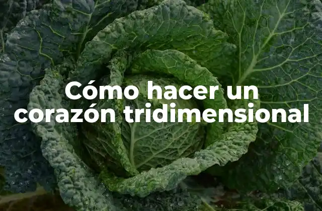 Cómo Hacer un Corazón Tridimensional