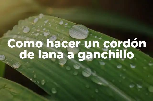 Como Hacer un Cordón de Lana a Ganchillo