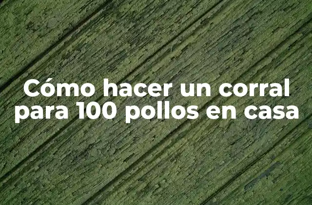 Cómo Hacer un Corral para 100 Pollos en Casa