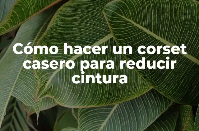 Cómo Hacer un Corset Casero para Reducir Cintura