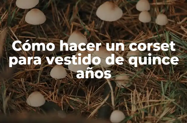 Cómo Hacer un Corset para Vestido de Quince Años