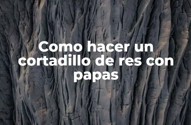 Como Hacer un Cortadillo de Res con Papas