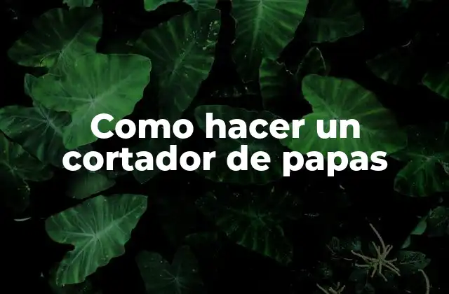 Como Hacer un Cortador de Papas