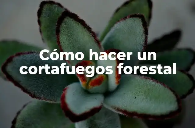 Cómo Hacer un Cortafuegos Forestal