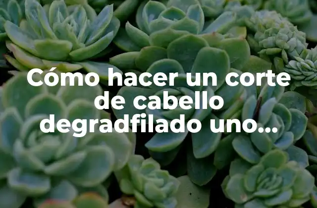 ¿Qué es un corte de cabello degradfilado y cómo funciona?