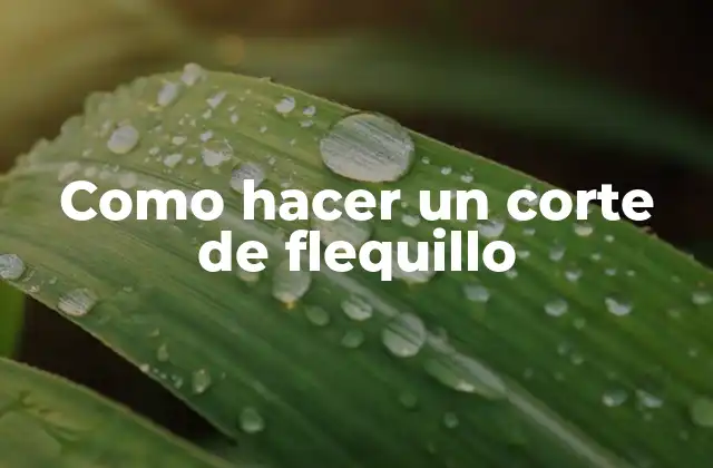 Como Hacer un Corte de Flequillo