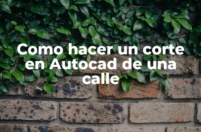 Como Hacer un Corte en Autocad de una Calle