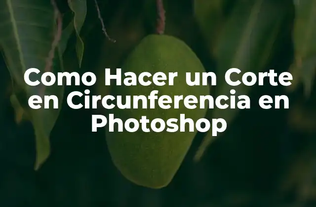 Como Hacer un Corte en Circunferencia en Photoshop