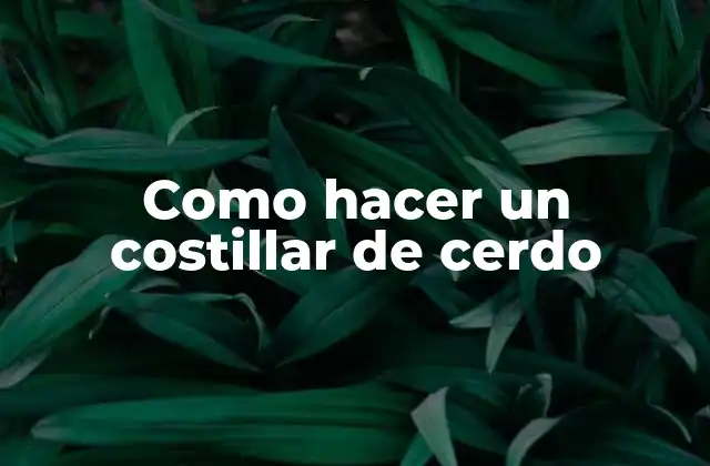 Como Hacer un Costillar de Cerdo