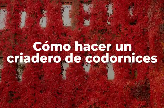 Cómo hacer un criadero de codornices