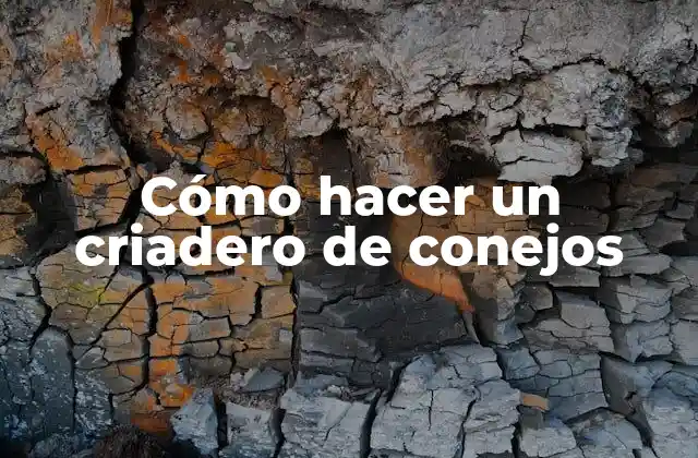 Cómo Hacer un Criadero de Conejos