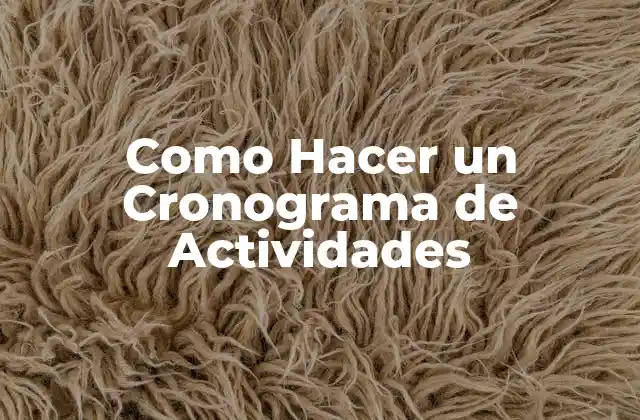 Como Hacer un Cronograma de Actividades