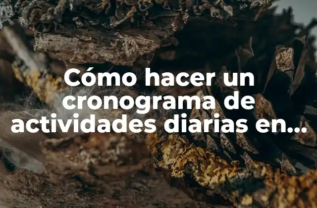 Cómo Hacer un Cronograma de Actividades Diarias en Excel