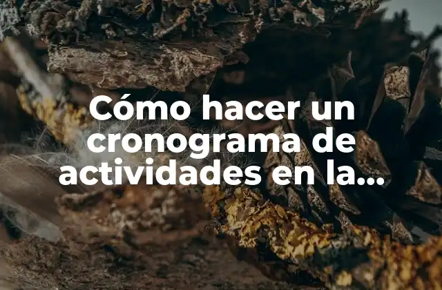 Cómo Hacer un Cronograma de Actividades en la Metodología de la Investigación