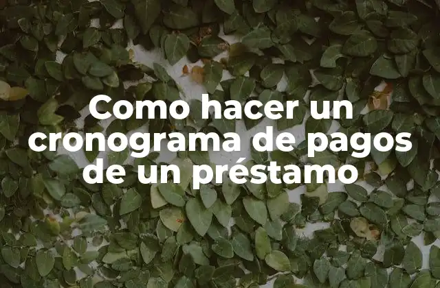 Como Hacer un Cronograma de Pagos de un Préstamo