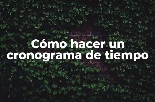 Cómo Hacer un Cronograma de Tiempo