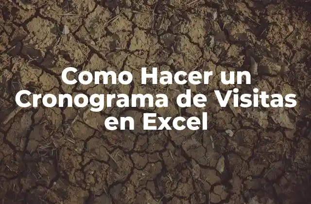 Como Hacer un Cronograma de Visitas en Excel