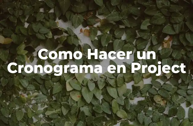 Como Hacer un Cronograma en Project