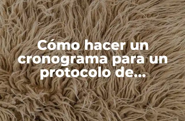 Cómo Hacer un Cronograma para un Protocolo de Investigación