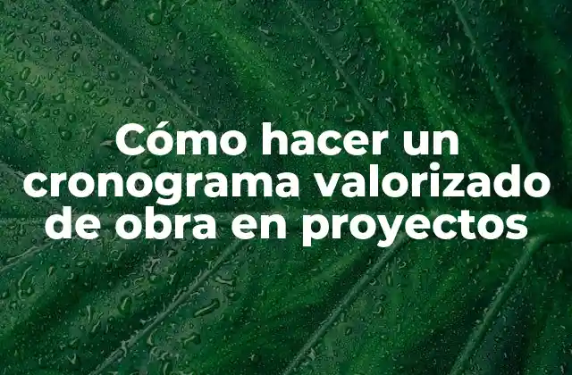 Cómo Hacer un Cronograma Valorizado de Obra en Proyectos 2 Cómo hacer un cronograma valorizado de obra en proyectos