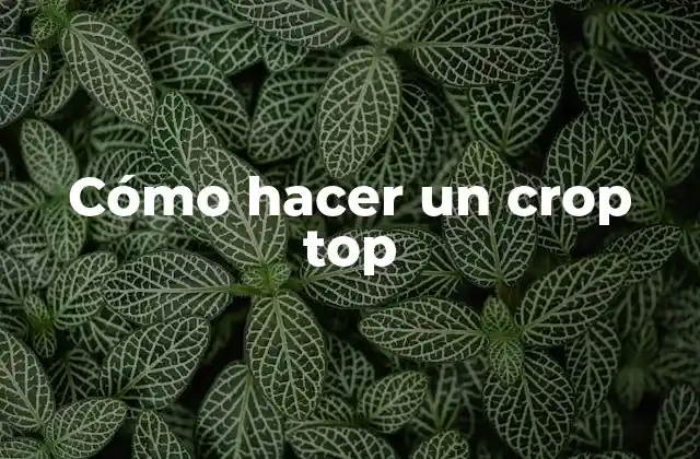 Cómo Hacer un Crop Top