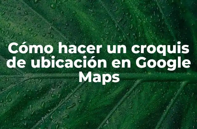 Cómo Hacer un Croquis de Ubicación en Google Maps