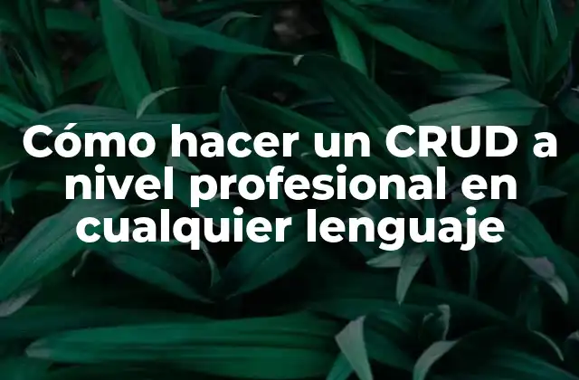 Cómo Hacer un Crud a Nivel Profesional en Cualquier Lenguaje