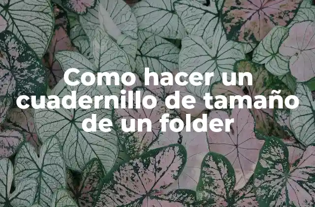 Como Hacer un Cuadernillo de Tamaño de un Folder 2 Cuadernillo de tamaño de un folder: qué es y para qué sirve