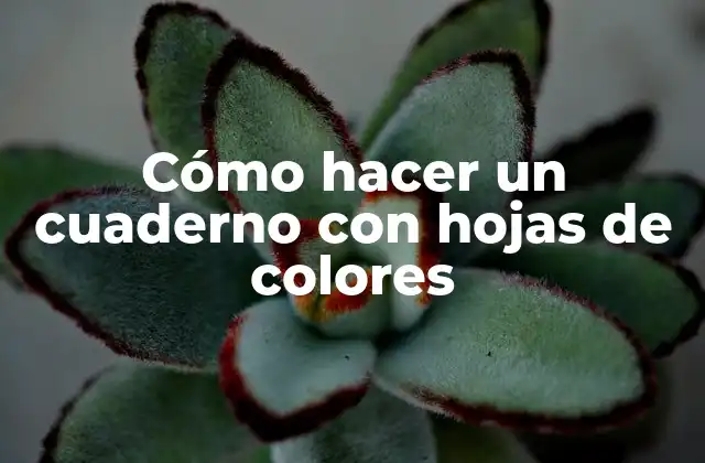 Cómo Hacer un Cuaderno con Hojas de Colores