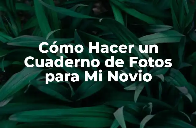 Cómo Hacer un Cuaderno de Fotos para Mi Novio