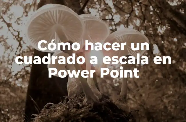 Cómo Hacer un Cuadrado a Escala en Power Point