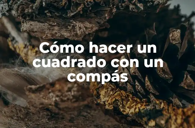 ¿Qué es un compás y cómo se utiliza?