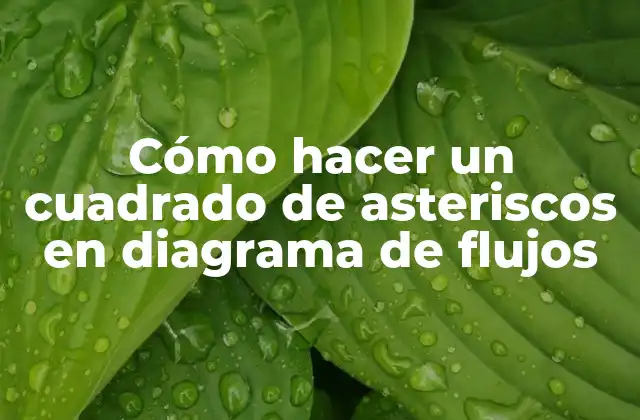 Cómo Hacer un Cuadrado de Asteriscos en Diagrama de Flujos
