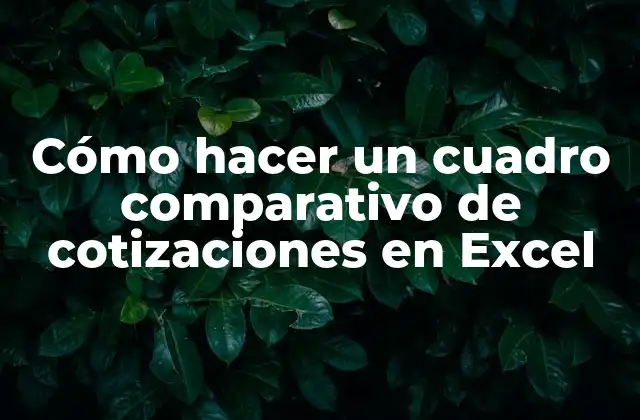 Cómo Hacer un Cuadro Comparativo de Cotizaciones en Excel