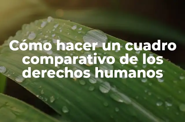 ¿Qué es un cuadro comparativo de los derechos humanos?