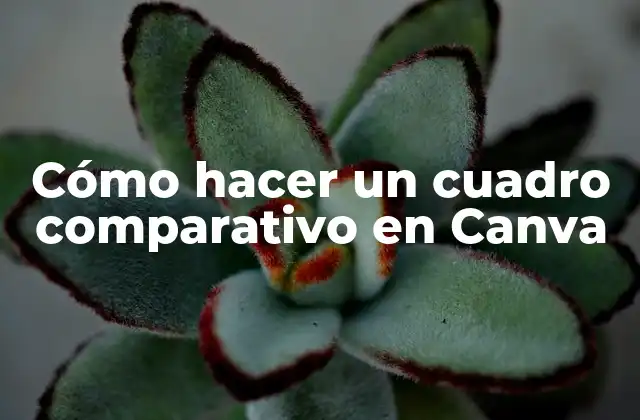 Cómo Hacer un Cuadro Comparativo en Canva