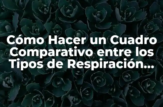 Cómo Hacer un Cuadro Comparativo entre los Tipos de Respiración Celular