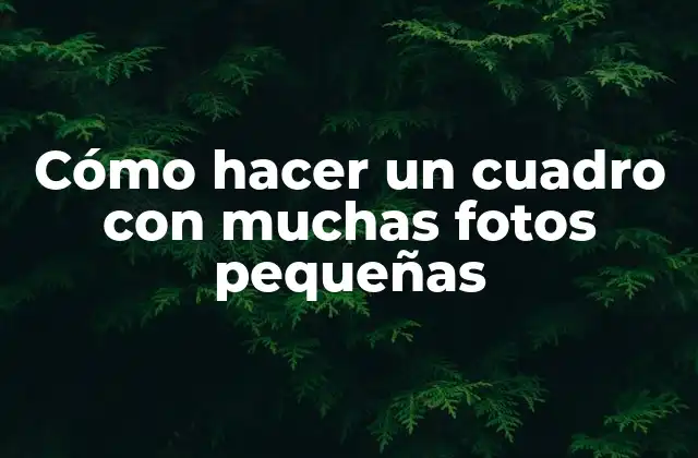 Cómo Hacer un Cuadro con Muchas Fotos Pequeñas